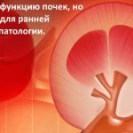 что показывает креатинин в крови