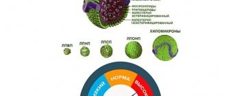 Что такое дислипидемия гиперлипидемия и как ее лечить