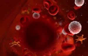 Что такое PLT в общем анализе крови