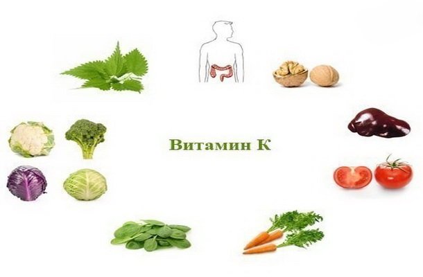 Дефицит в организме витамина К
