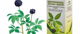 Eleutherococcus for blood pressure