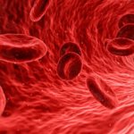 Эритроциты в кровяном русле