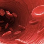 Red blood cells in a vessel
