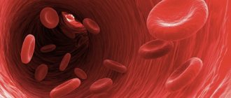 Эритроциты в сосуде