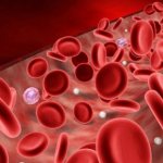 Фолиеводефицитная анемия