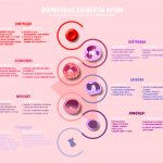 Форменные элементы крови