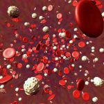 гематологический анализ крови