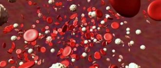 hematological blood test