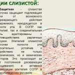 The mucous membrane is hyperemic. What does this mean moderate, focal, diffuse in an adult, child, treatment 