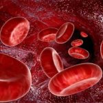 Густеет кровь