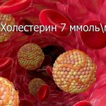 Холестерин 7 ммоль