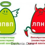 Холестерин