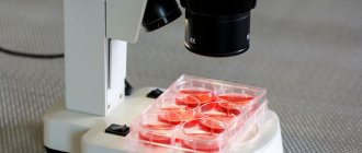 Исследование крови под микроскопом