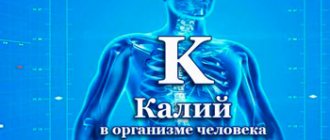 potassium in the human body