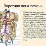 Кавернозная трансформация воротной вены у детей
