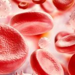 Клетки крови – за что отвечают и о чем говорит их количество?