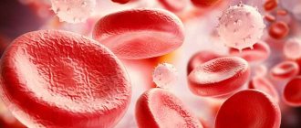 Клетки крови – за что отвечают и о чем говорит их количество?