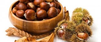 Horse chestnut for varicose veins recipe