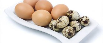 Chicken eggs vs quail eggs