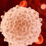 Лейкоциты в крови: за что отвечают, норма, как обозначаются в анализе. Повышенные лейкоциты в крови — что это значит