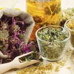 Лекарственные травы