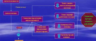 mechanism of action of ACE