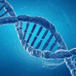 мутации генов гемостаза