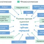 Нарушение ритма сердца. Что это такое, причины, симптомы и лечение у детей