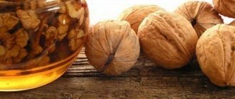 Walnut infusion
