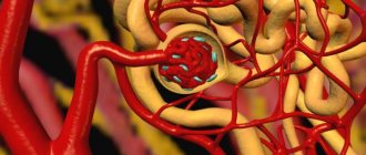 Nephrogenic arterial hypertension