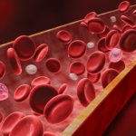 Норма лейкоцитов в крови у детей