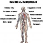 Основные симптомы гипертонии