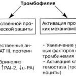 Патогенез тромбофилии