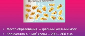 PCT в анализе крови. Что это такое, расшифровка, норма. Что значит повышен, понижен показатель
