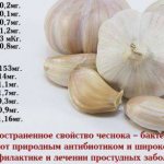 польза чеснока