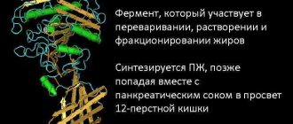 Причины повышения липазы в крови. О чем это говорит?