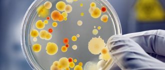 Причины повышенного антистрептолизина О