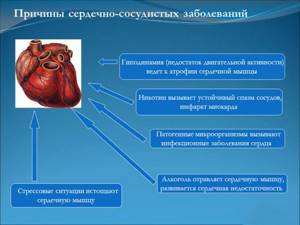 Причины заболевания сердца