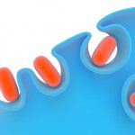 Процесс фагоцитоза