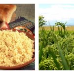 пшено при диабете 2 типа