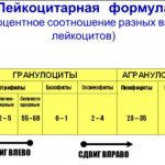 shift in leukocyte formula