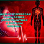 Симптомы и лечение наджелудочковой тахикардии
