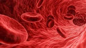 Сколько литров крови в человеке в среднем