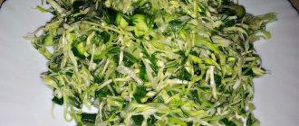 Слат из свежей капусты способствует похудению, самое главное его правильно приготовить