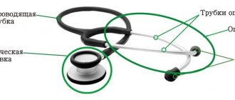 Составные части стетоскопа