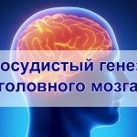 Сосудистый генез головного мозга