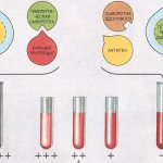 Специфика проведения теста