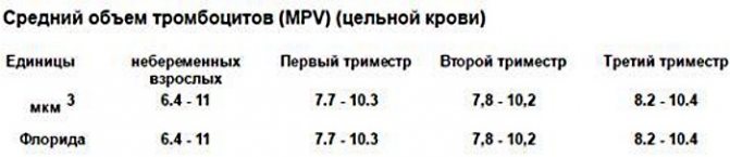 Средний объем тромбоцитов (MPV) повышен, что это значит