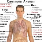 Степени тяжести анемии по уровню гемоглобина. Симптомы и лечение
