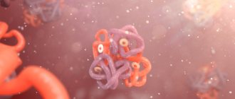 Строение гемоглобина